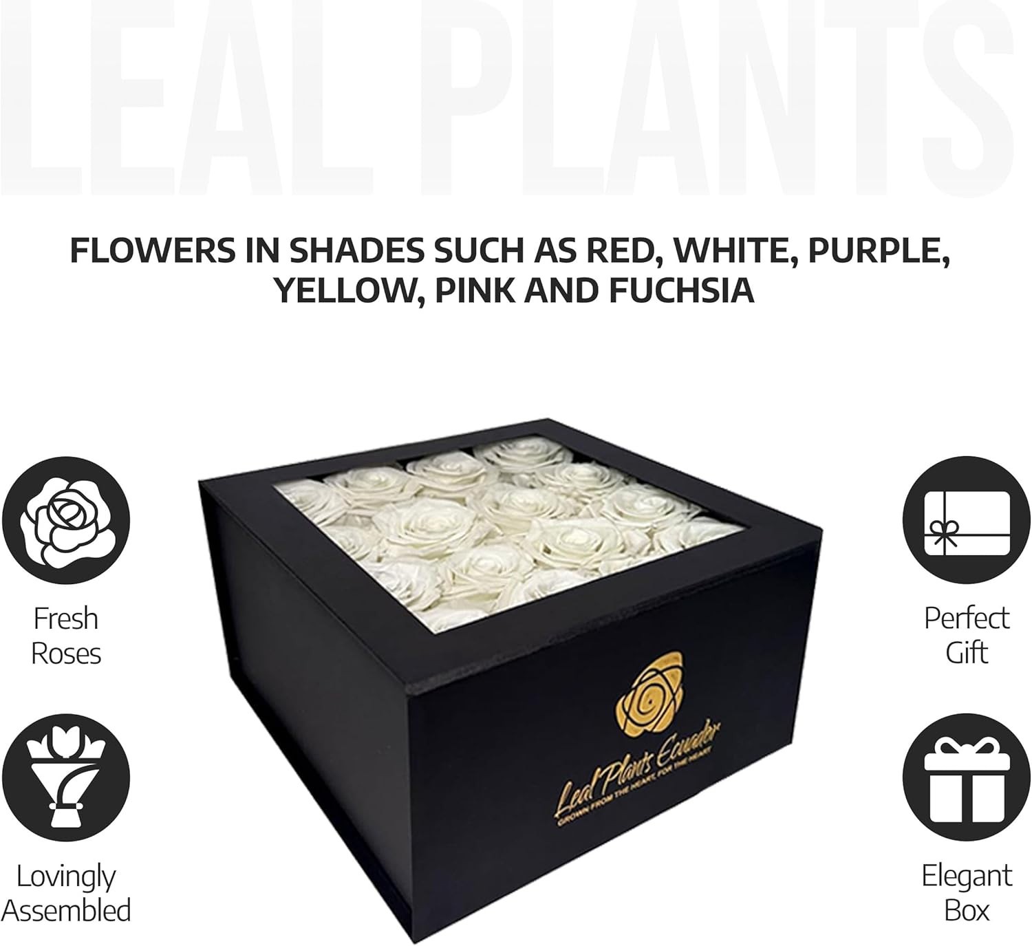 Premium Real Preserved Roses 16 PCS 100% Real White Roses Lasting Up to 3 Years