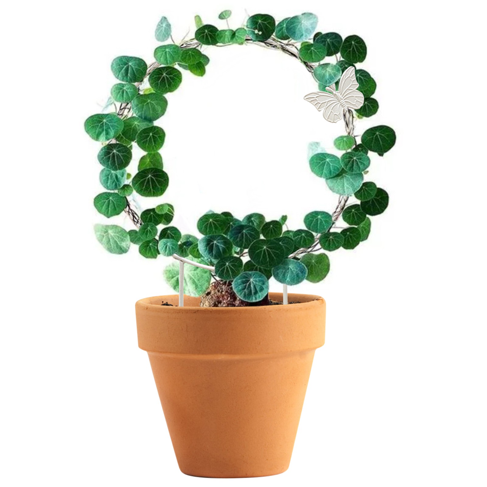 White Heart Plant Support 28x31cm