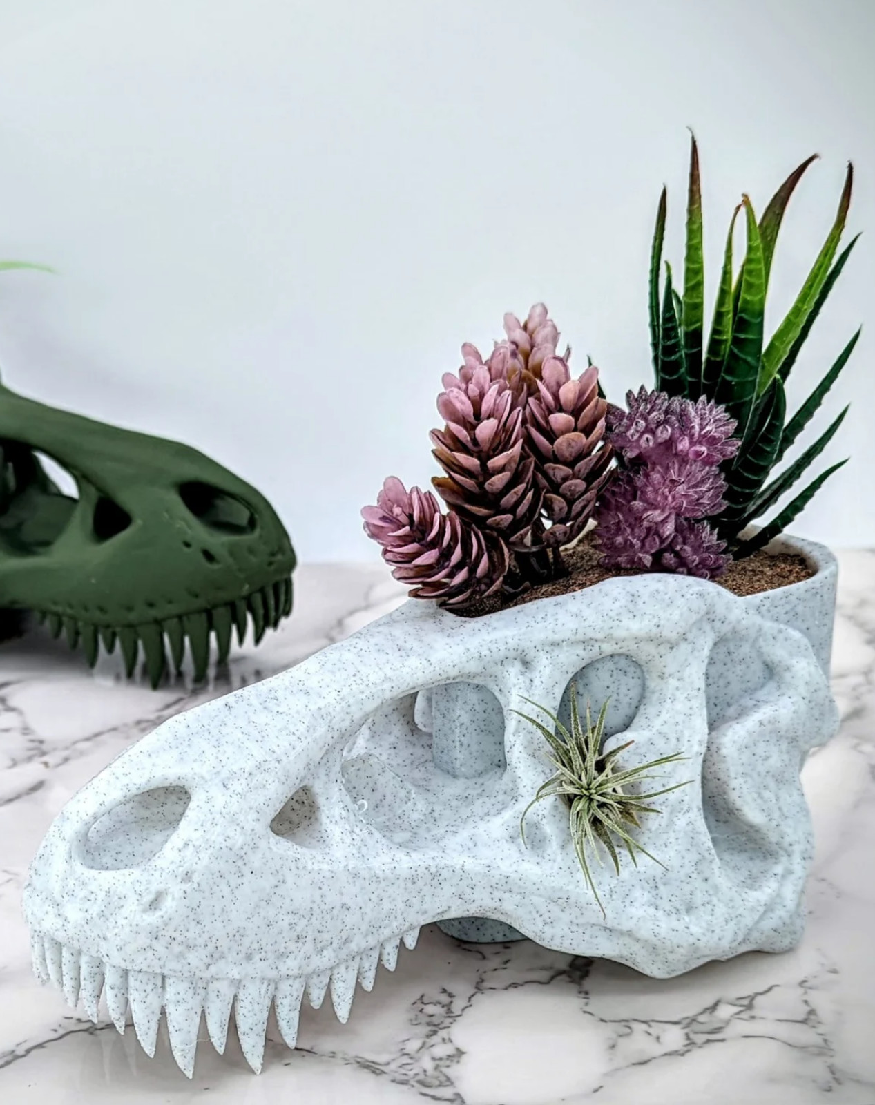 White Dinosaur Skull Planter – Decorative Flower Pot, Animal Lover