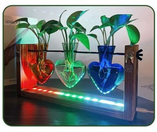 Plant Starter Heart Shaped – Decorative Color Lighted Cuttings
