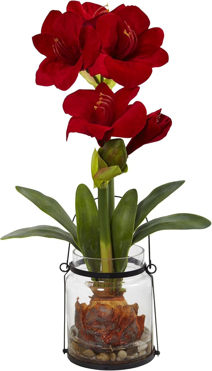 Stunning 24″ Red Amaryllis Floral Decor with Elegant Vase – Perfect for Home!