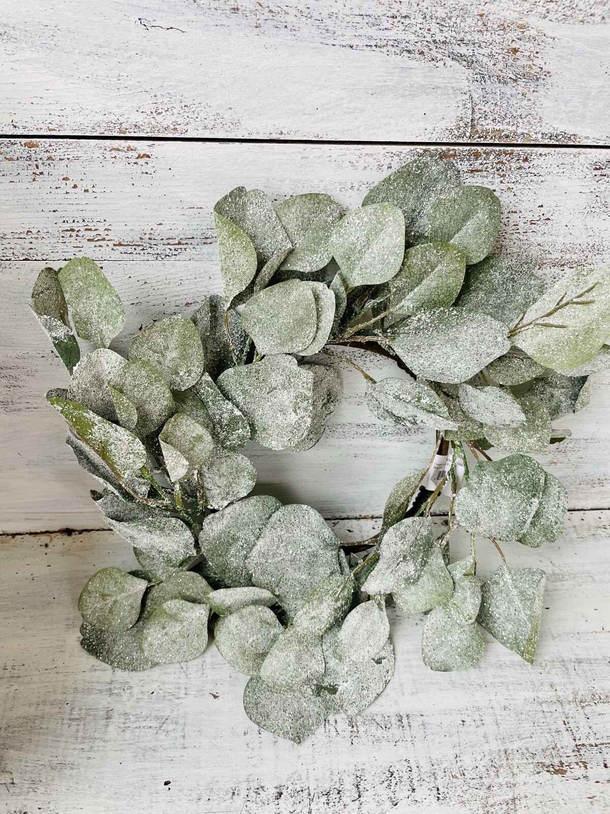 Frosted Dollar Eucalyptus Christmas Or Winter Small Wreath Ring, 6.5
