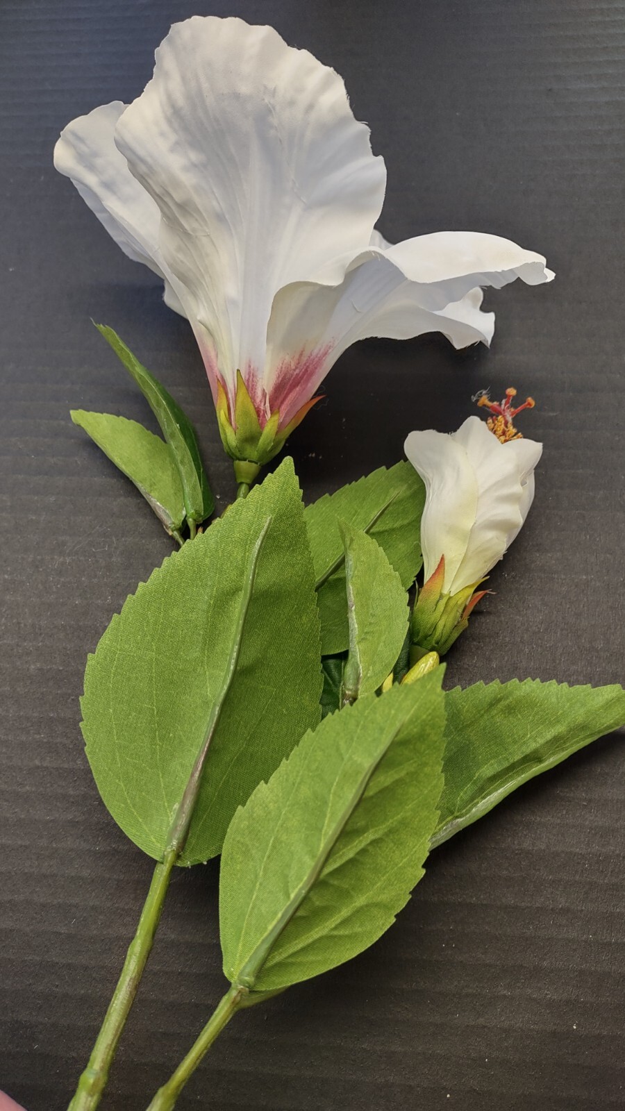 Large Cream Hibiscus stem silk flowers
