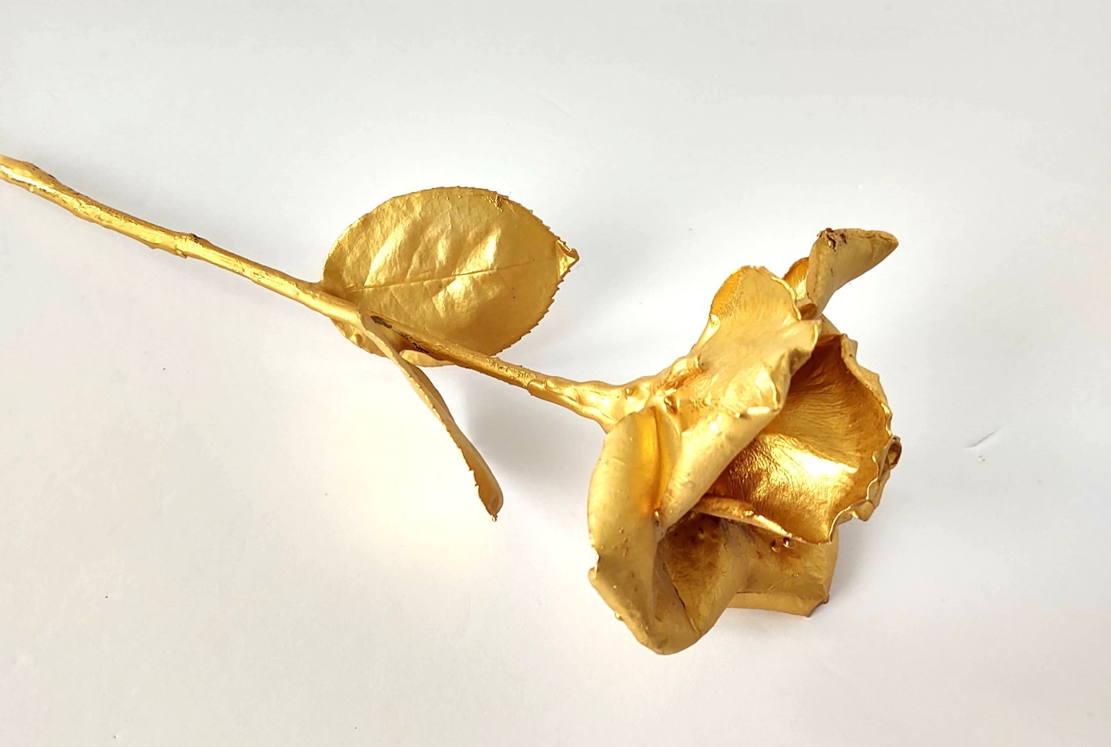 Classic 24K Gold Dipped “Real American Rose” Keepsake – 17.5″ Long