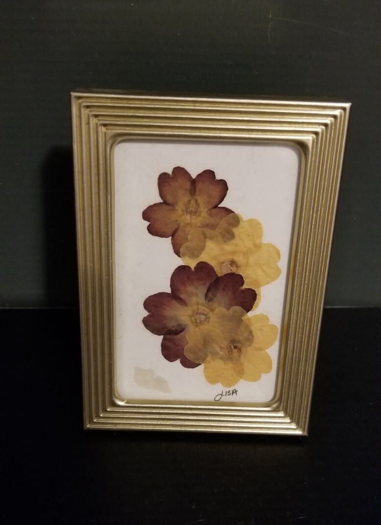 Small 2 3/8″ X 3 3/8″ Press Dried Flower 2 Burgandy Yellow green Framed FF25