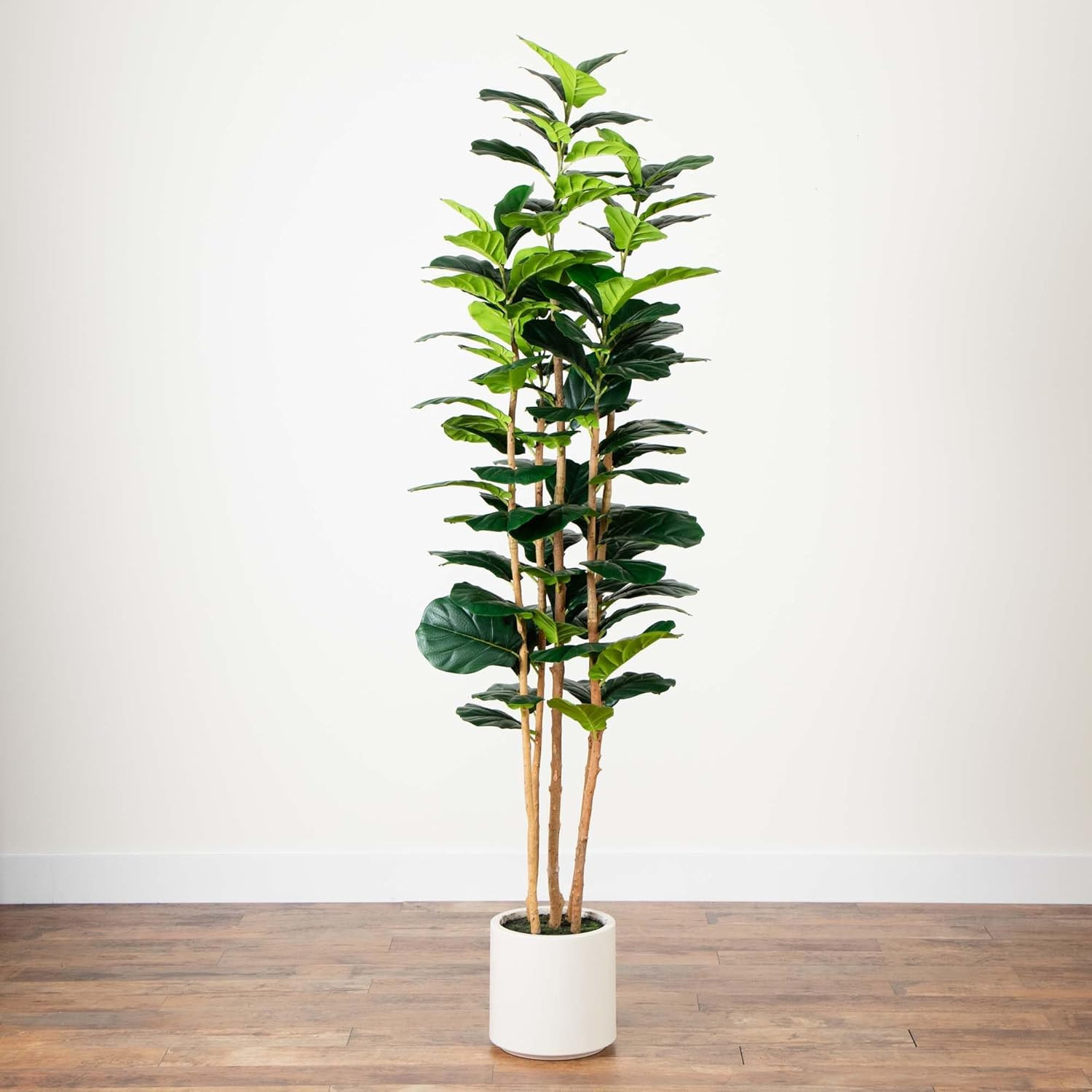 7Ft Artificial Fiddle Leaf Tree in Stylish White Planter –