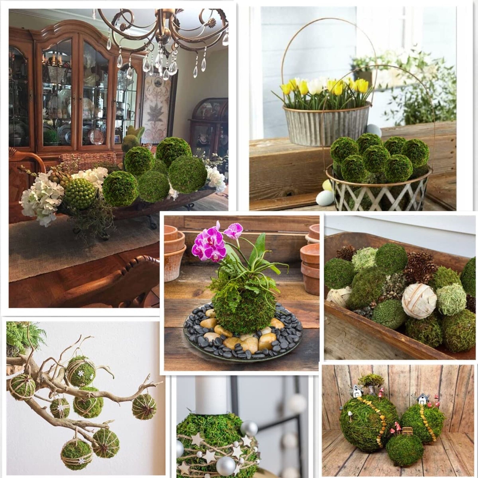 Handmade Green Ball Preserved Moss Nature Art 3 inches Decoration Ball