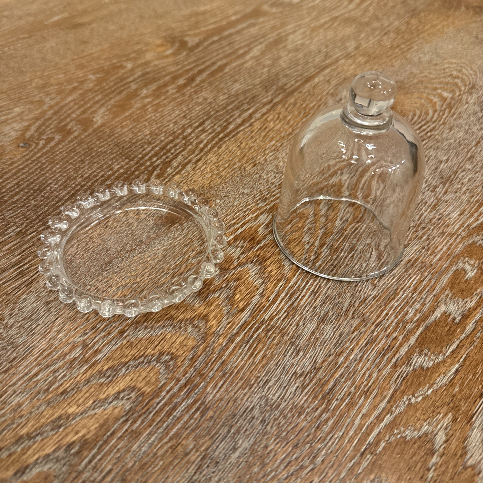 Cloche Dome Glass Décor Set Glass Dome Cloche