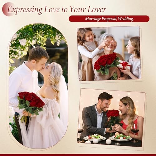 40 Pcs Rose Artificial Flowers Bulk with Long Stem,Realistic Silk Wine Red