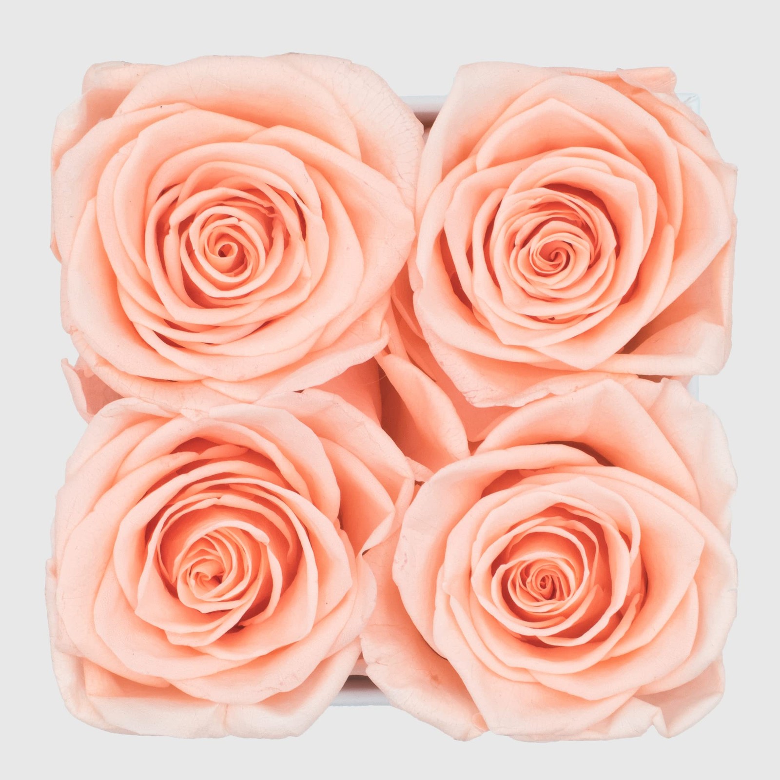 Graceful Fleurs Real Long Lasting Roses in a Box for Years, Preserved Fresh F…
