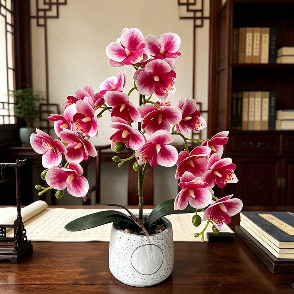 Synthetic Butterfly Orchid in Matte Cement Pot for Modern Farmhouse Decor Style