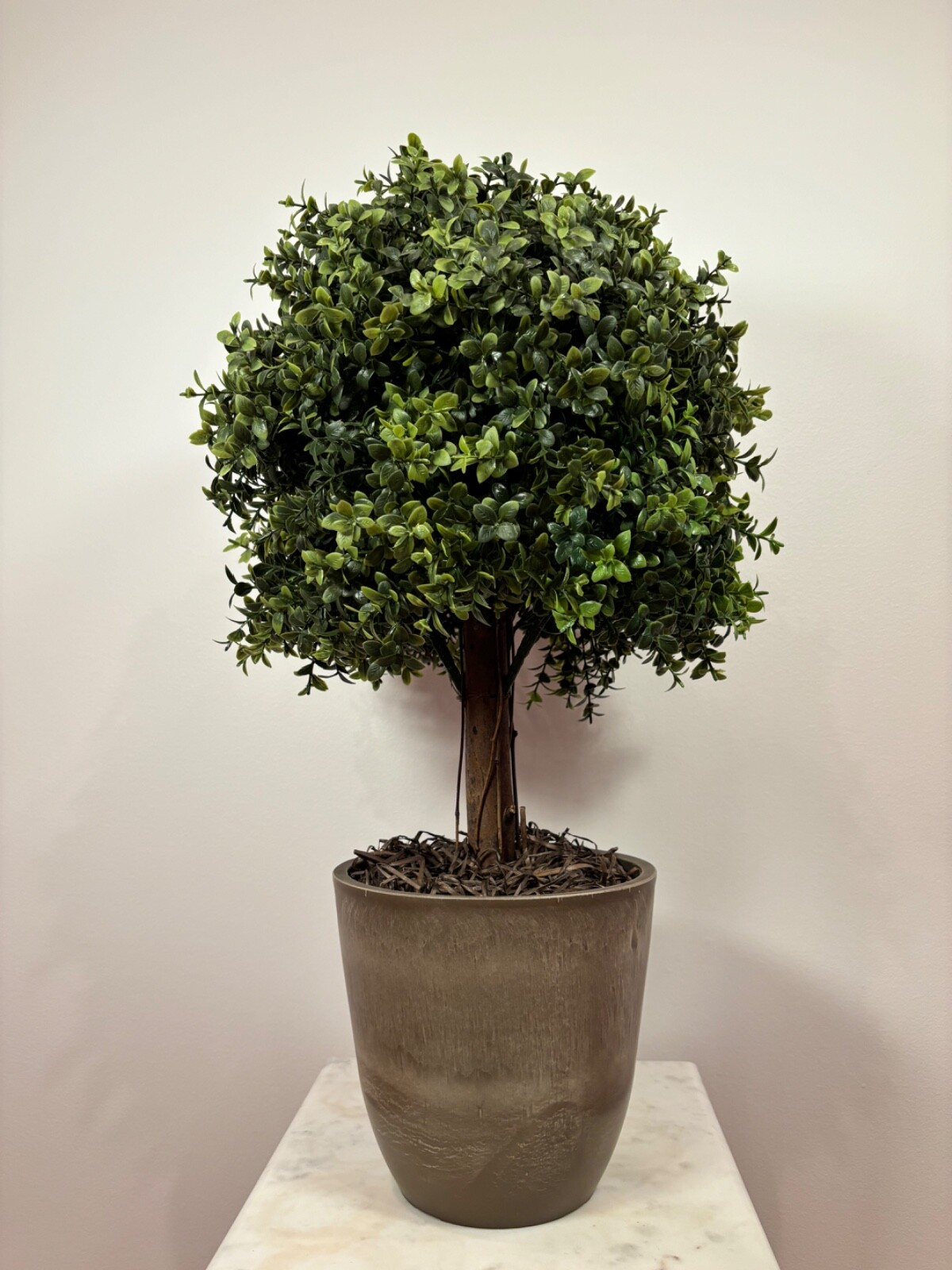 Wildwood & Cypress 24” Realistic Topiary Boxwood Tree w/ Wood Trunk Outdoor Faux