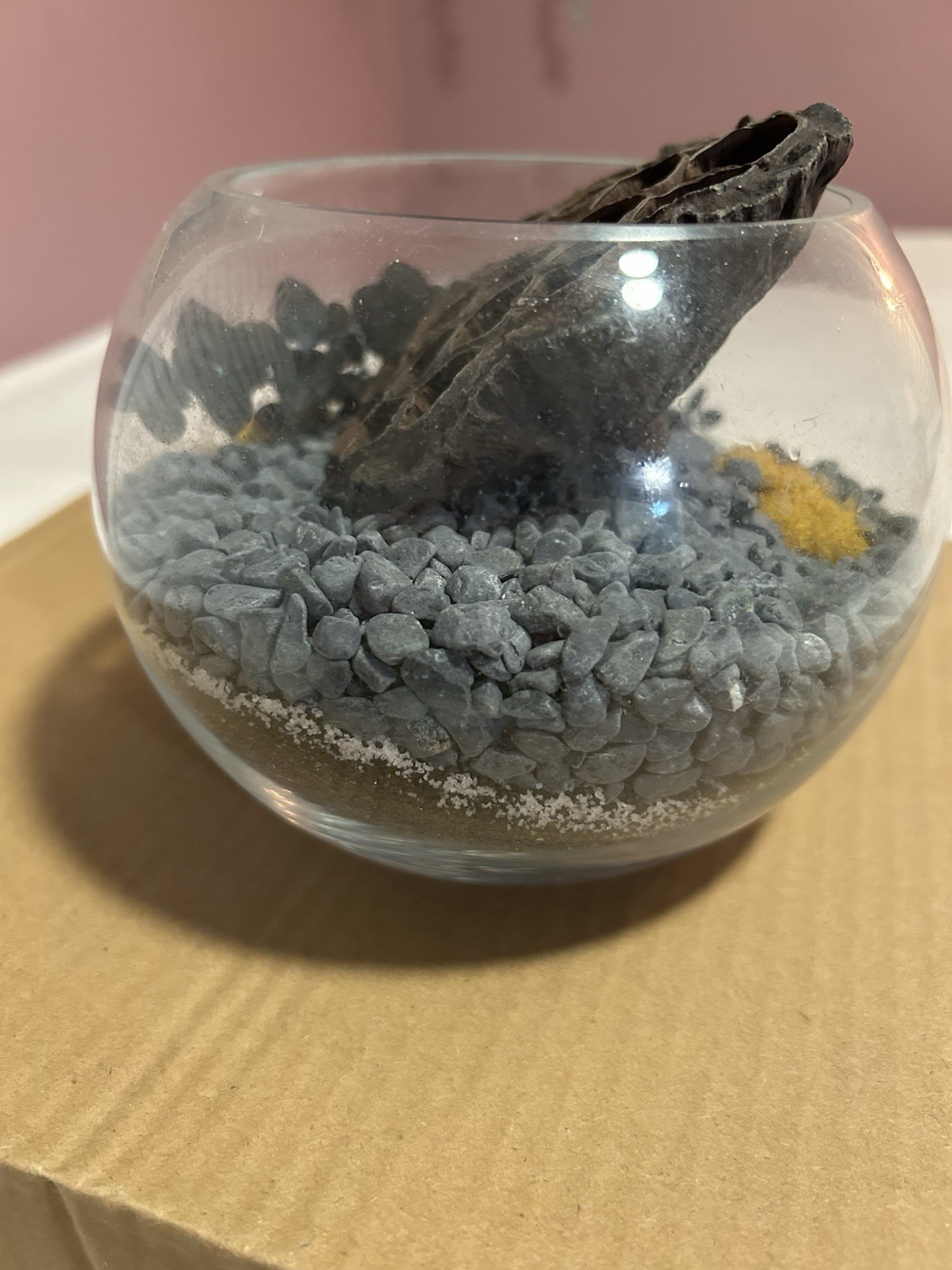 terrarium Glass Globe Sand Gravel Fake plants SpongeShelf Counter Decor Shells