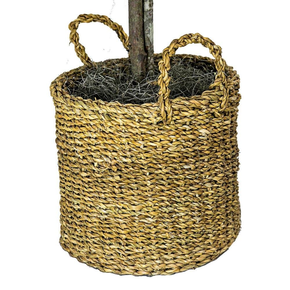 Artificial Plant 6-Foot Ficus Tree in Woven Natural Basket Home or Office Decor