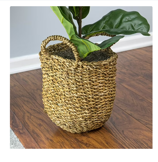 Faux 36″ Fig in Handwoven Boho Basket