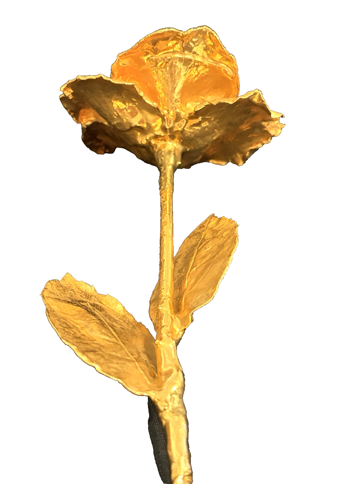 Real Natural Rose Flower Coated Preserved And Dipped In Gold