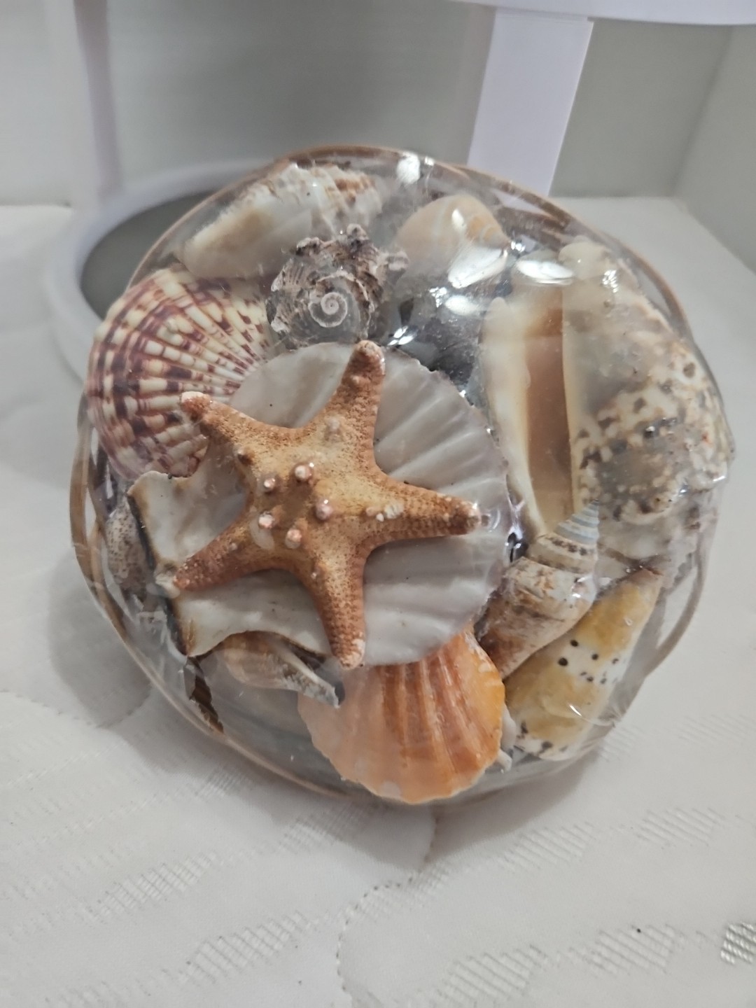 Seashells in Basket – Home Office Spa Decoration Assorted