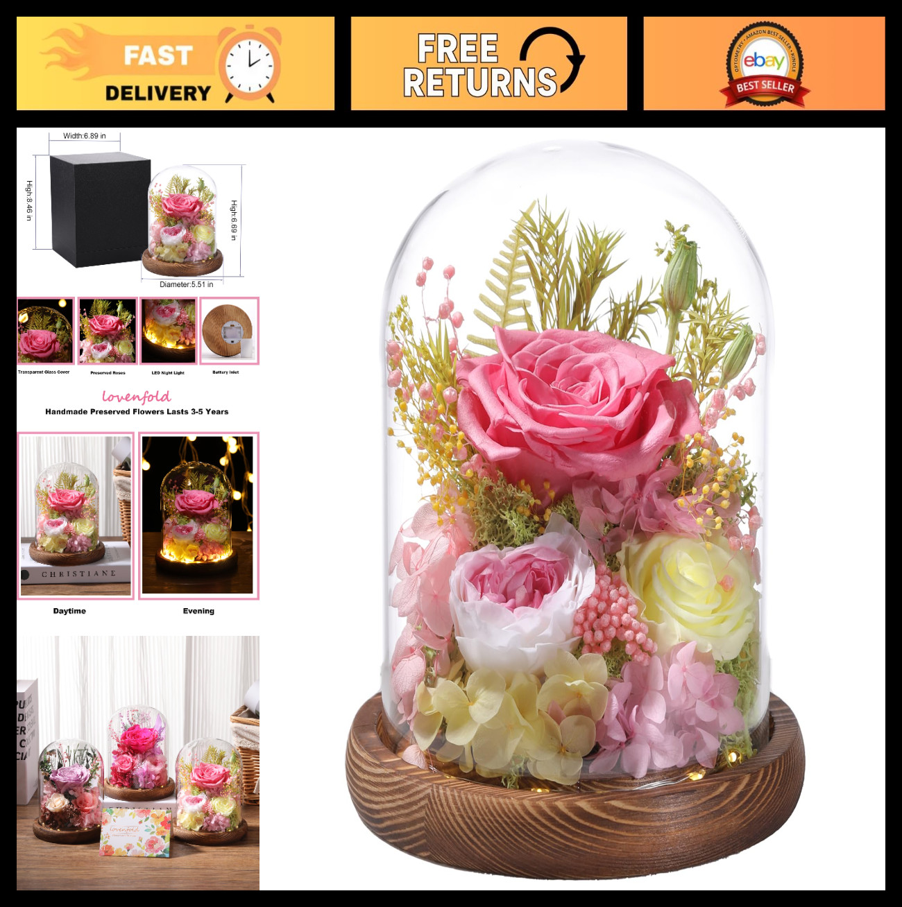 Preserved Pink Roses in Glass Dome with LED Light – Long Lasting Forever Flowers