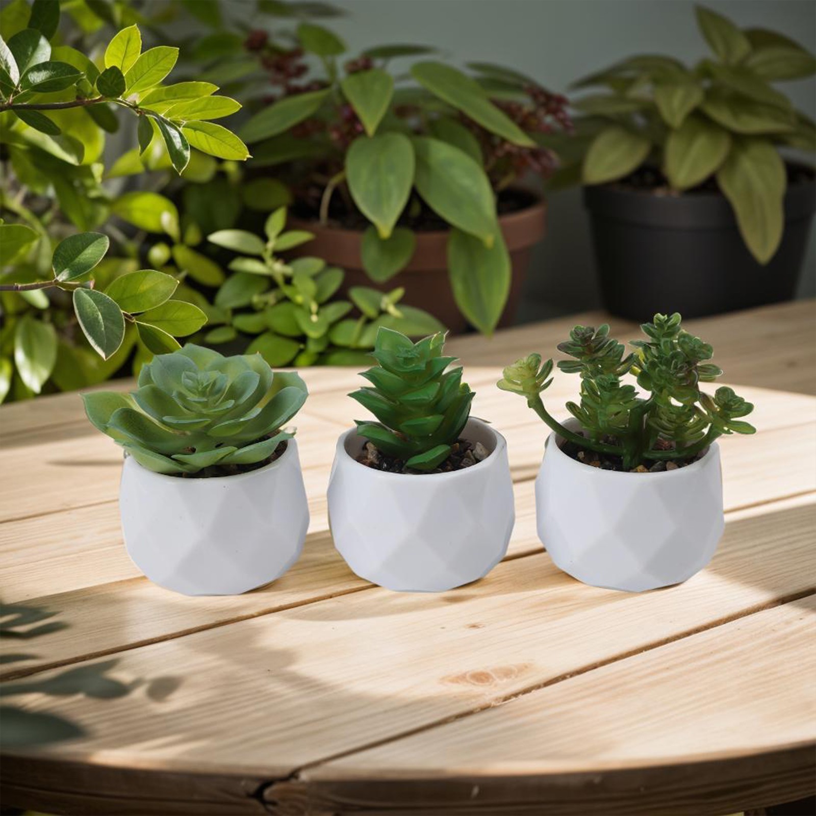 3pcs Elegant Artificial Succulent Plants for For home and Office Display