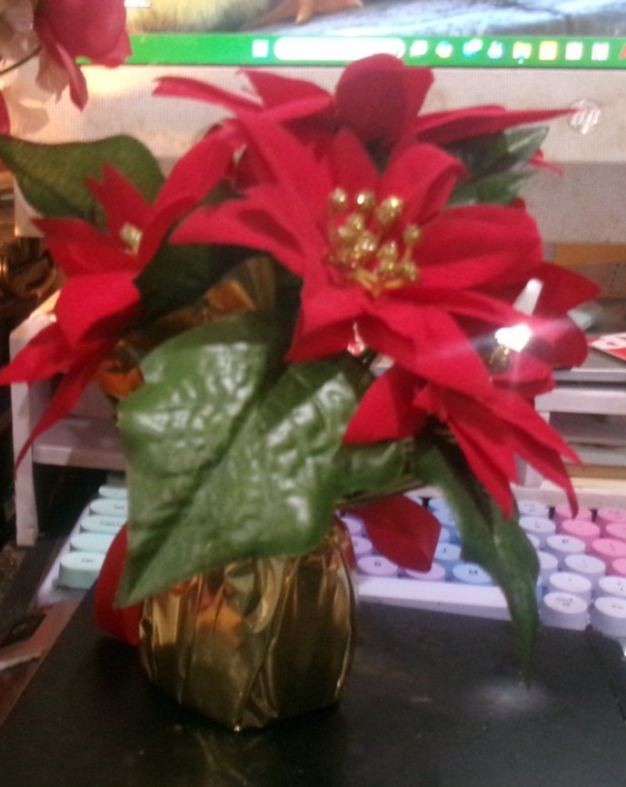 artificial pointsettia in gold wrapping paper and red ribbon