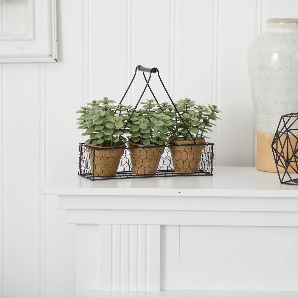 7 In. Artificial Mini Jade Garden Plant in Hanging Planter