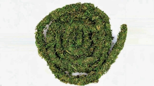 Real Moss Vine 12FT – Natural Green Decorative Plant, Perfect for Aquariums & Cr