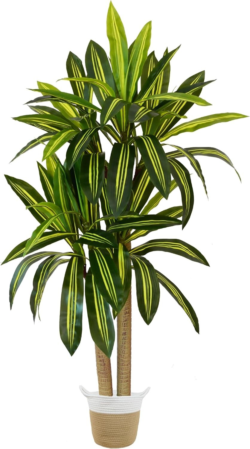Artificial Dracaena Tree, 5ft Tall Fake Dracaena Plant with Basket, Indoor Ou…