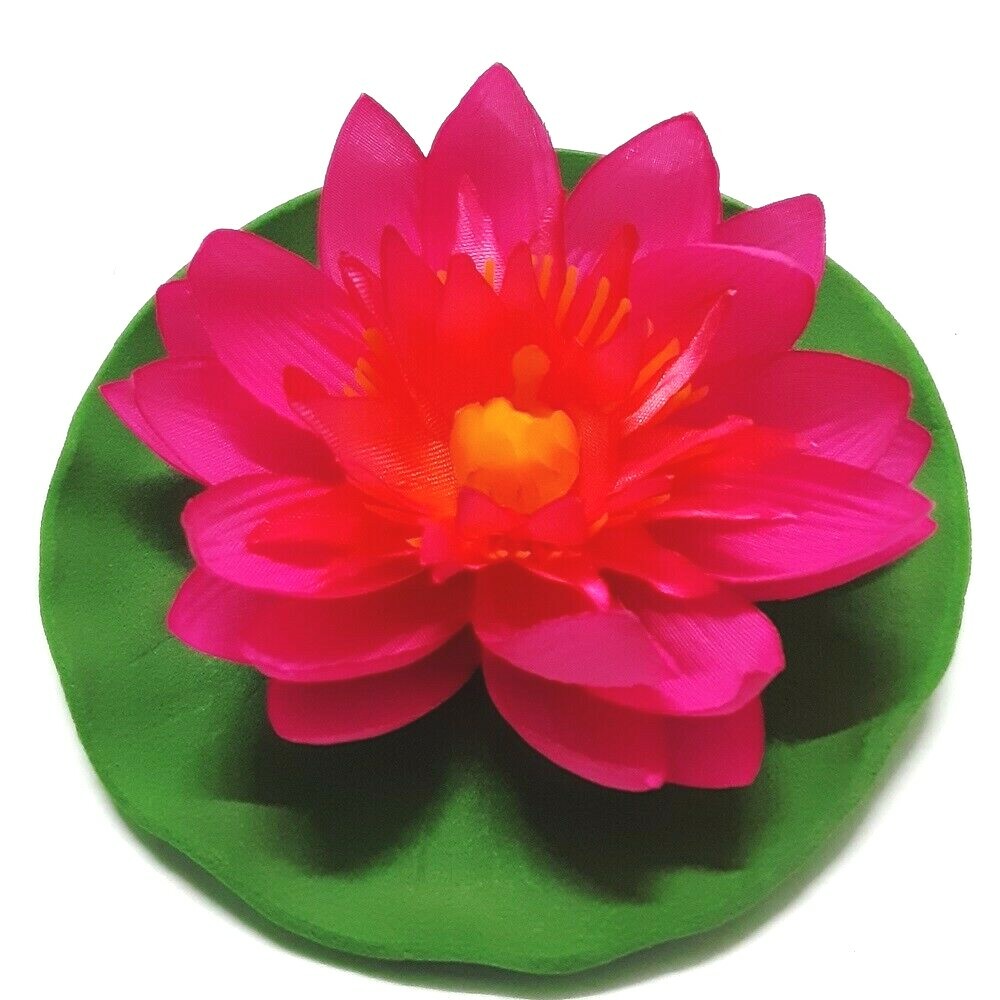 5 Siamese Lotus Flowers White Pink Purple Blue Yellow Home Floral Decor