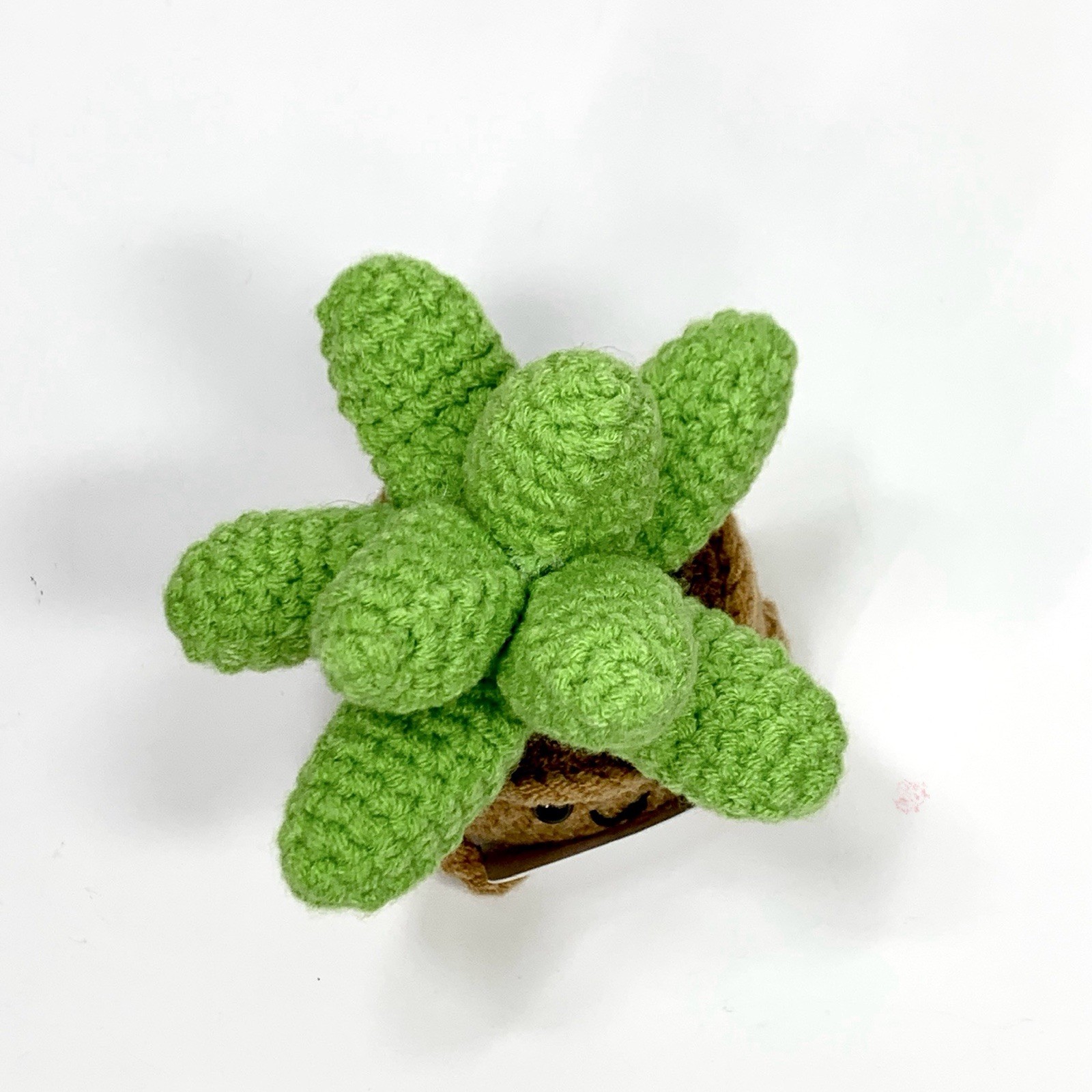 Small Novelty Crochet Succulent Potted Plant Saying Life Would Succ Without You