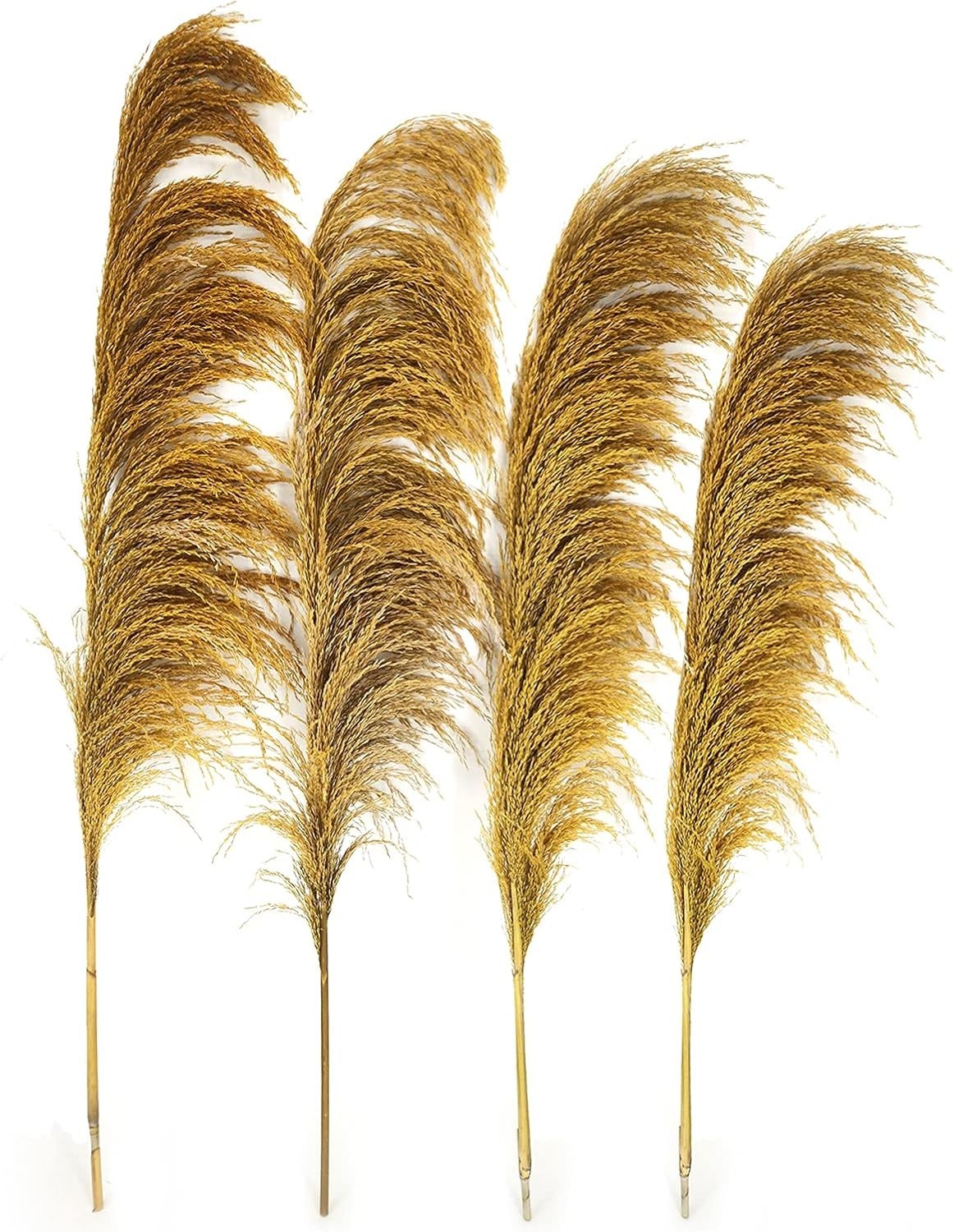 Golden Pampas Grass Decor Tall,Dried Pampas Grass, Pompas Floral for Vase, El…