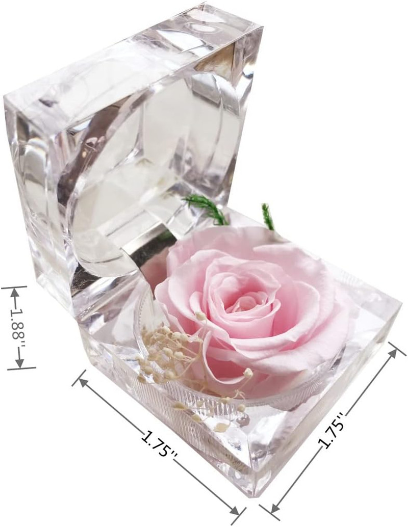 Preserved Rose Real Forever Rose in Mini Clear Ring Box, Eternal Flower Rose