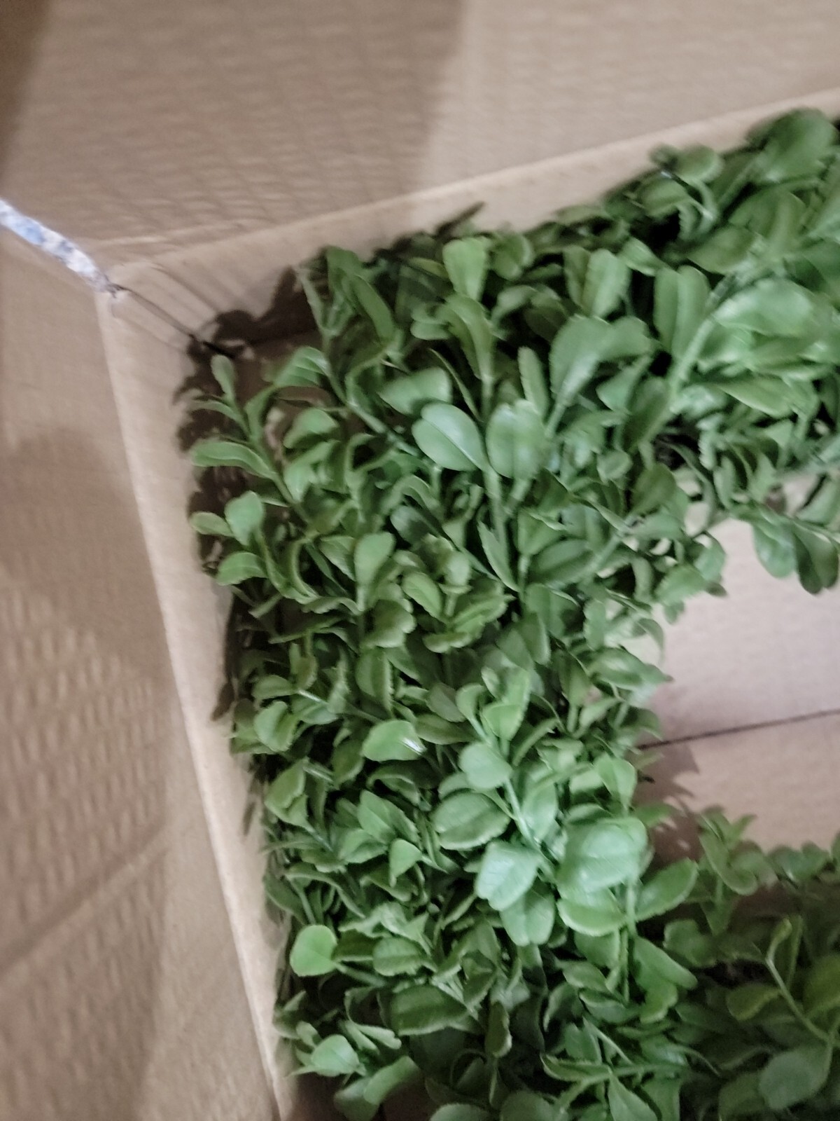 Pure Garden 13 Inch Boxwood Wreath Indoor Outdoor Artificial Fake Greenery