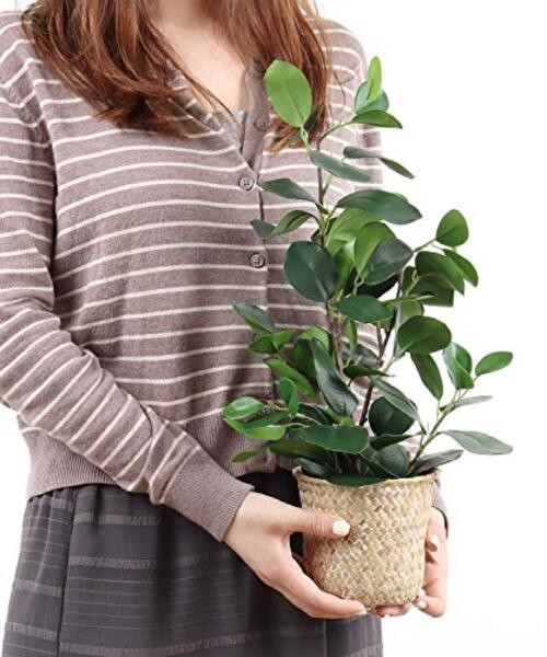 Artificial Ficus Tree Small Fake Plants in Weaved Pot 20″ Height for 1 Green