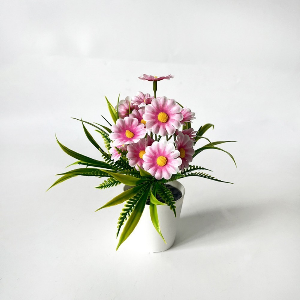 Indoor Chrysanthemum Bonsai Style Plant for Desk Nightstand Table Decor