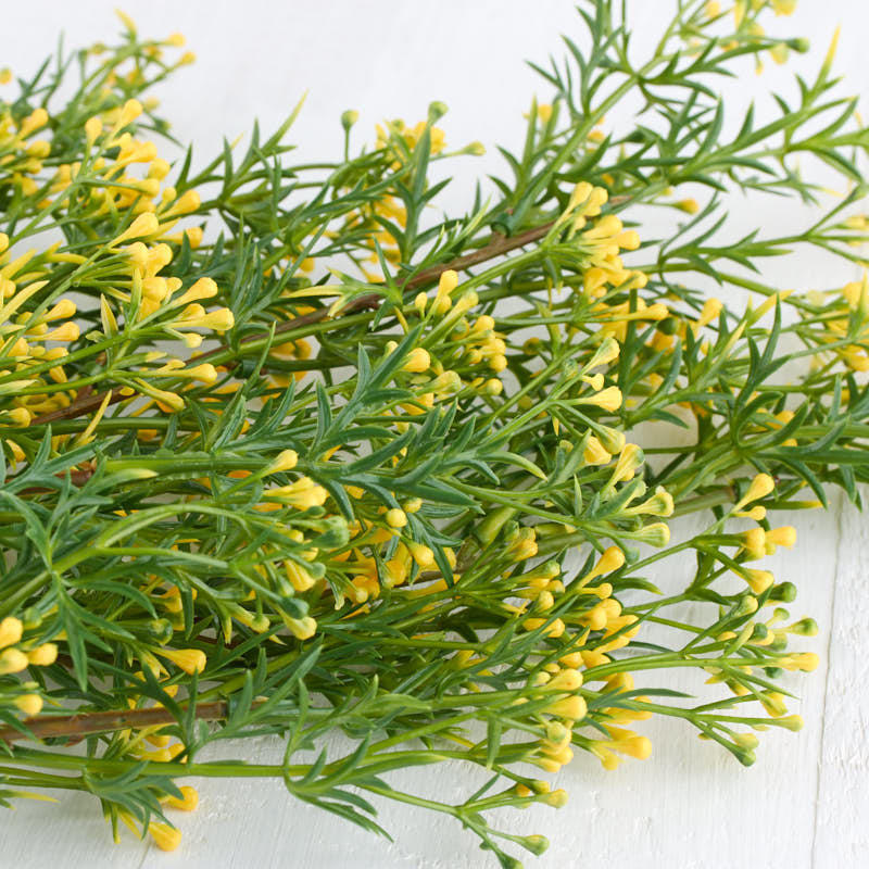 Long Stem Artificial Yellow Seed Grass Sprays – 2 Sprays