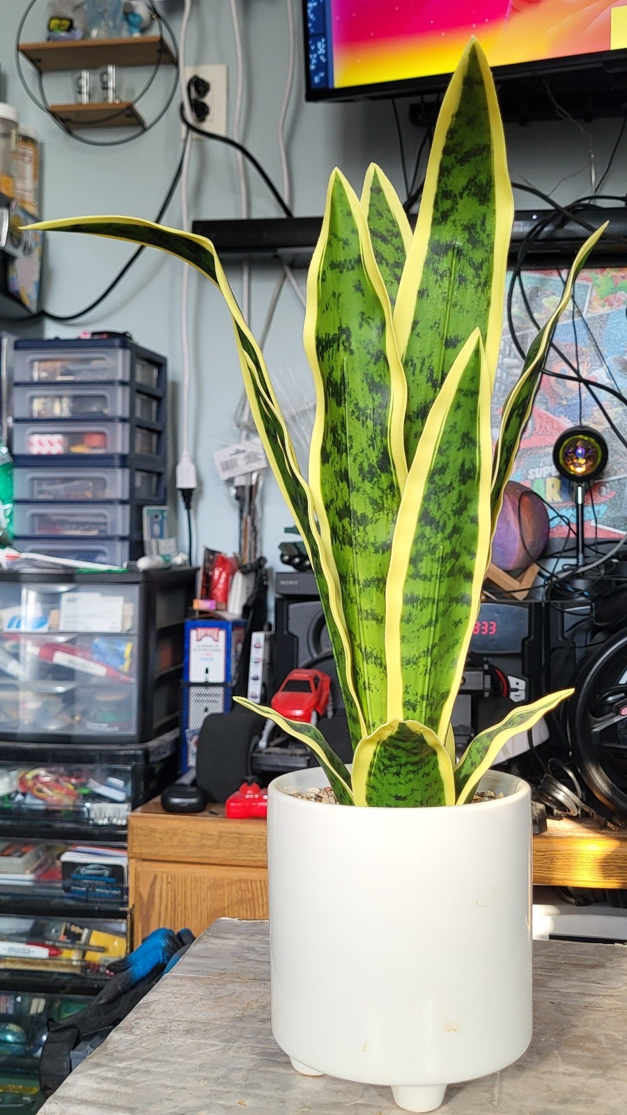 Artificial Snake Plant Potted, Sansevieria (Real Looking) 20″ Tall Porcelain Pot