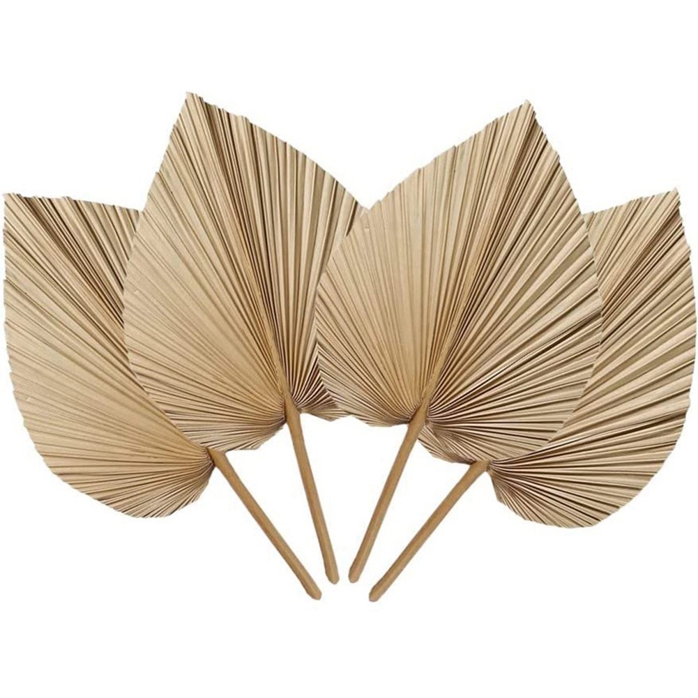 4 Pieces Natural Dried Palm Leaves are Perfect for Palm Leaf Decor, Boho6261