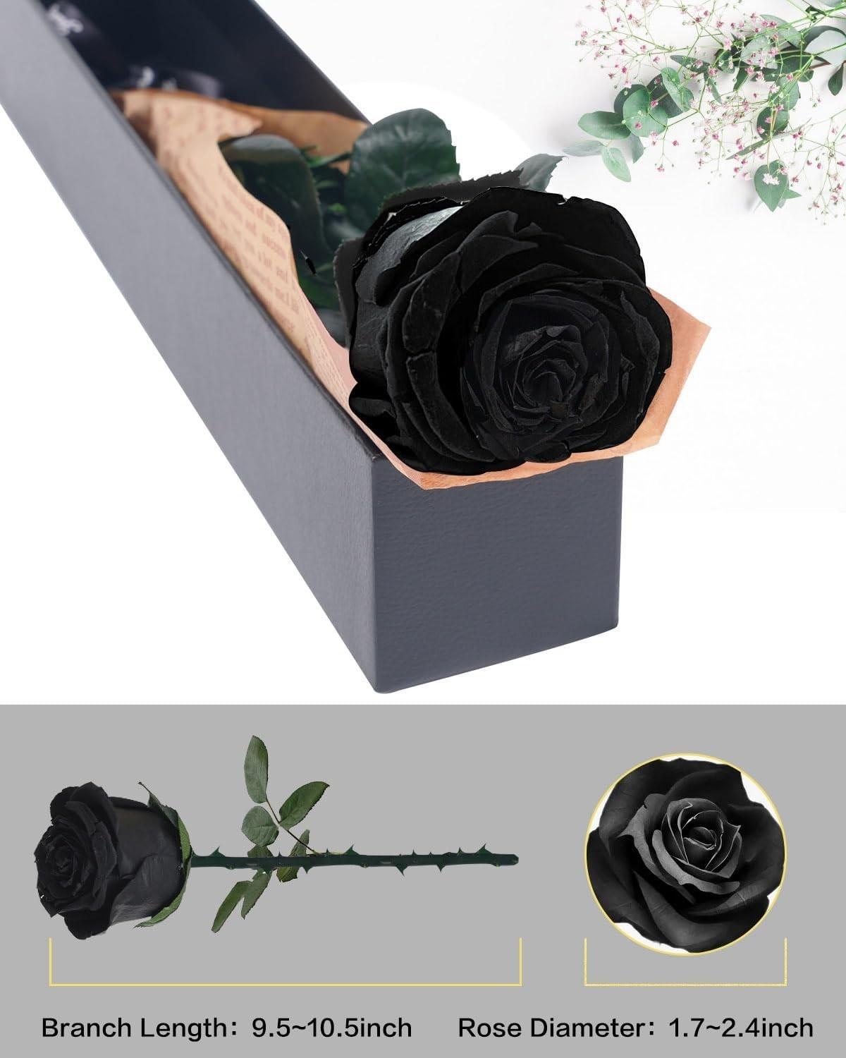 Single Black Preserved Rose – Timeless Gift for Women on Any Occasion