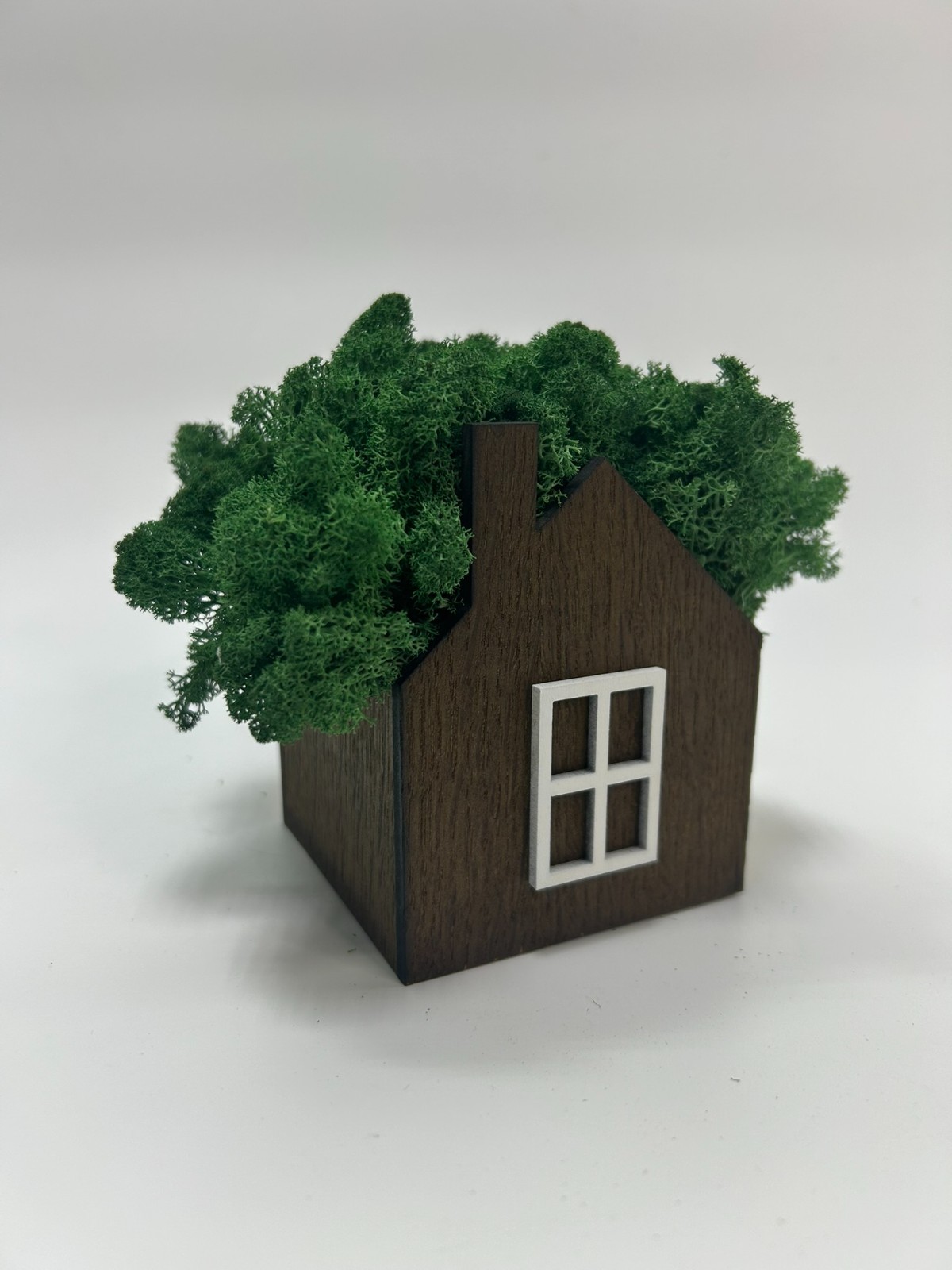 Handmade Wooden Moss House | Natural Eco Home Decor | Stabilized Moss Mini House