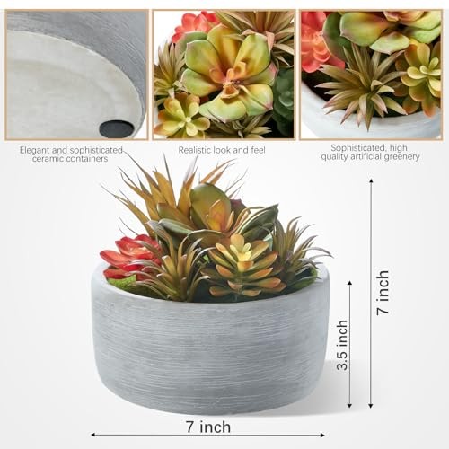 Artificial Succulent Plants in Pots,Fake Succulents with Gray 6inch Grey#1