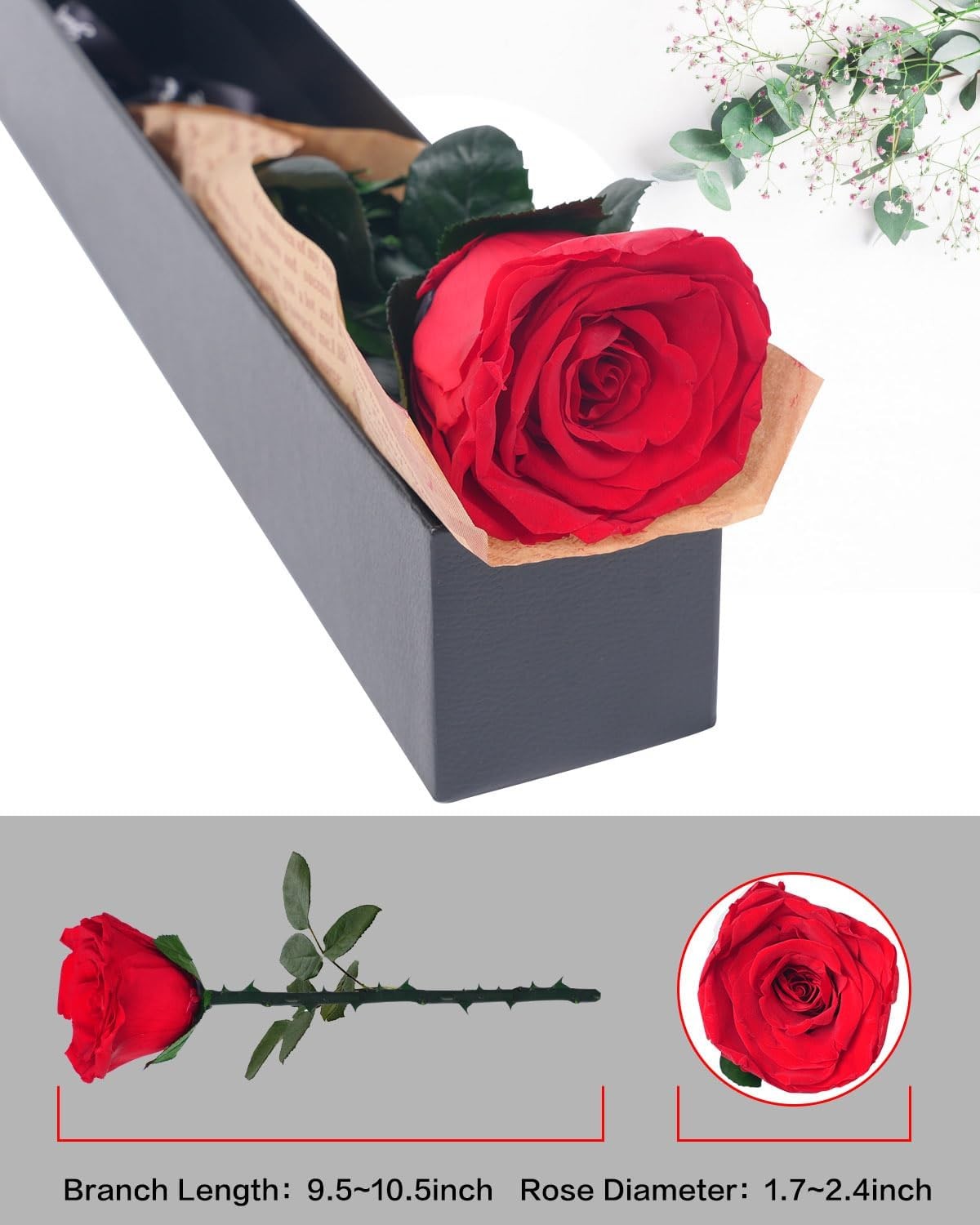 Preserved Red Rose Gift for Women Mom Wife Grandma Birthday Anniversary