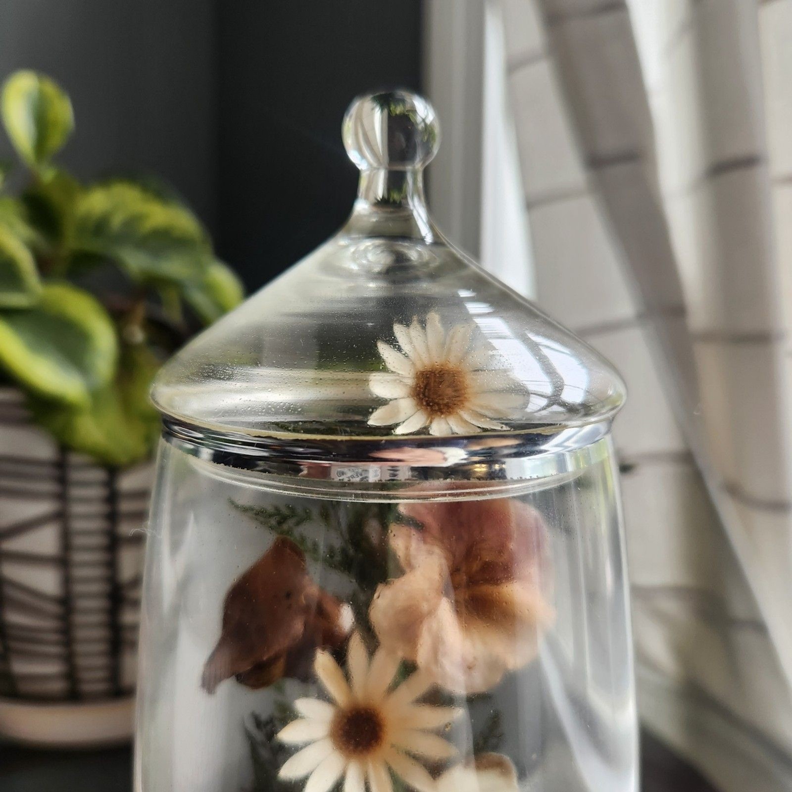 Vtg Apothecary Jar Sealed Butterfly Terrarium Floral Dried Flowers Cottagecore