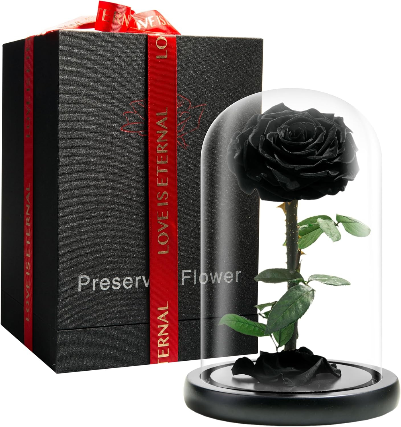 Forever Preserved Rose – Eternal Rose in Glass Dome – Beauty and the Beast Rose