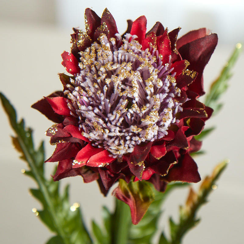 Factory Direct Craft Burgundy Glittered Artificial Thistle Stem | 3 Pieces