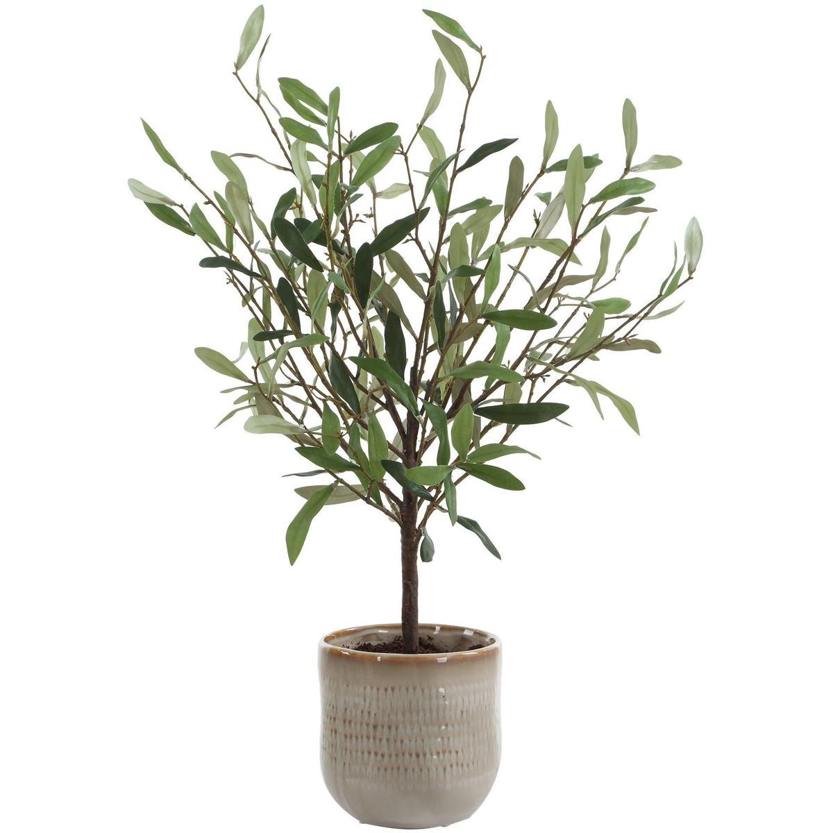 Uttermost 60264 Solea Olive Neutral Tan and Green Accent & Vase