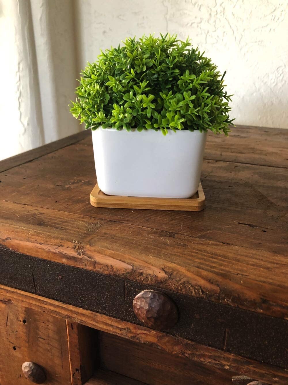 Peach Tree Farm Small Fake Plant Artificial Faux Greenery Clover with Tray