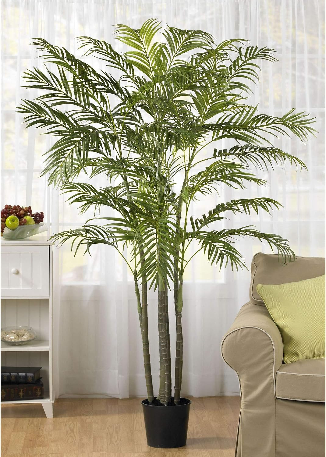 6Ft. Areca Palm Silk Tree
