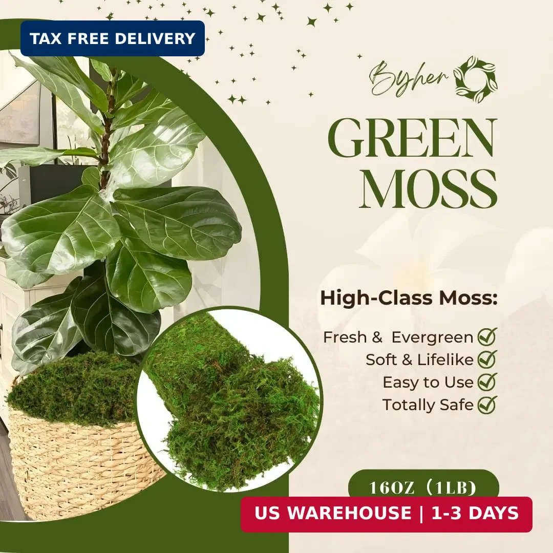 BYHER Fake Moss for Plants Indoor, 16OZ Green Moss for Crafts, Artificial Moss f