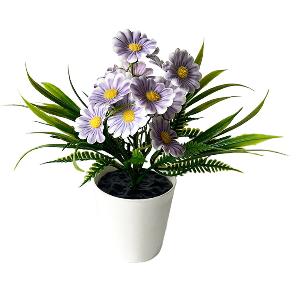 Indoor Chrysanthemum Bonsai Style Plant for Desk Nightstand Table Decor