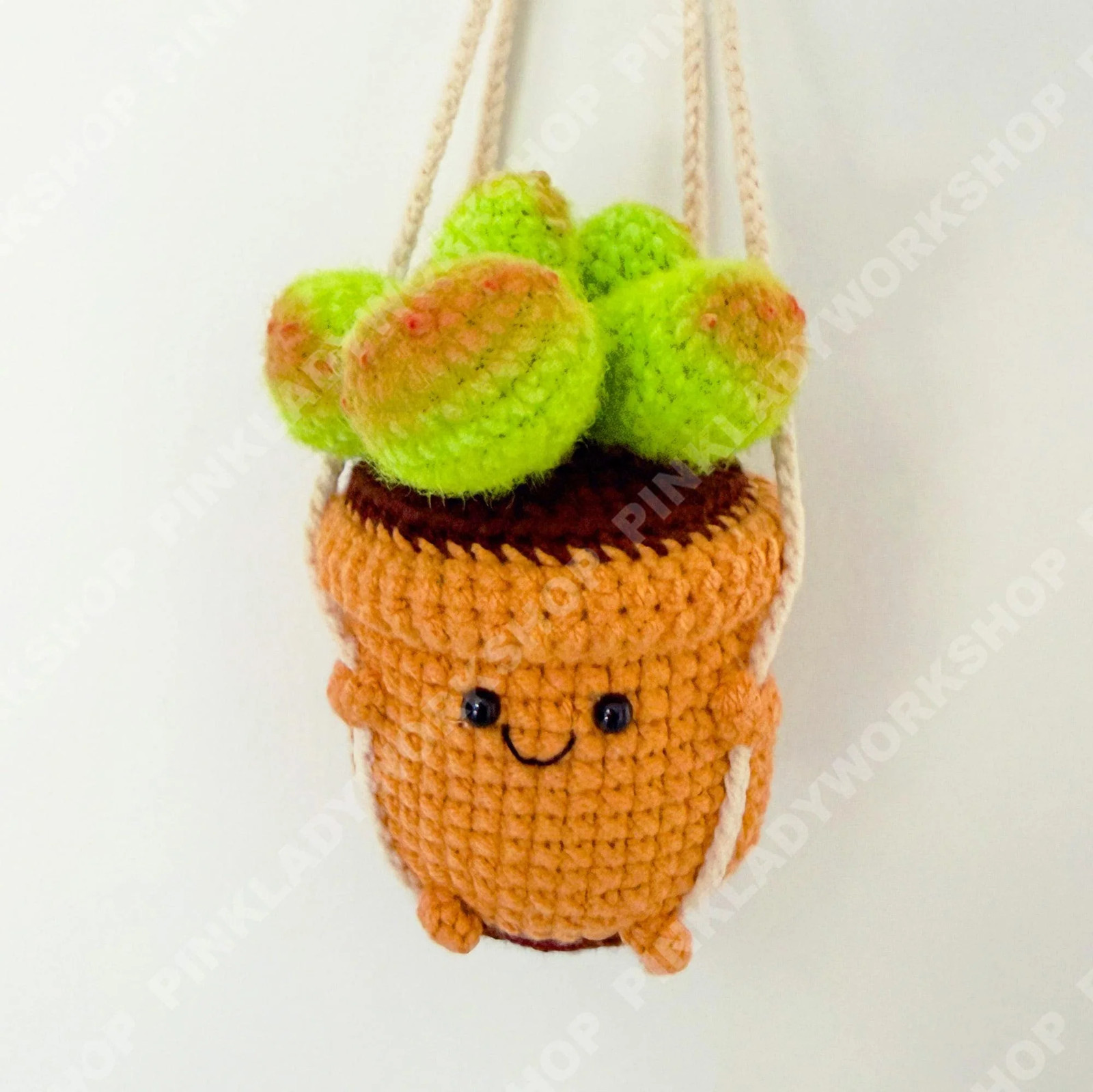 Crochet Hanging Plant | Smiley Face Plant Pot | Handmade Crochet Succulent